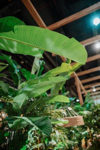 Feria Habitat  - CREACIONES MENG, S.L.